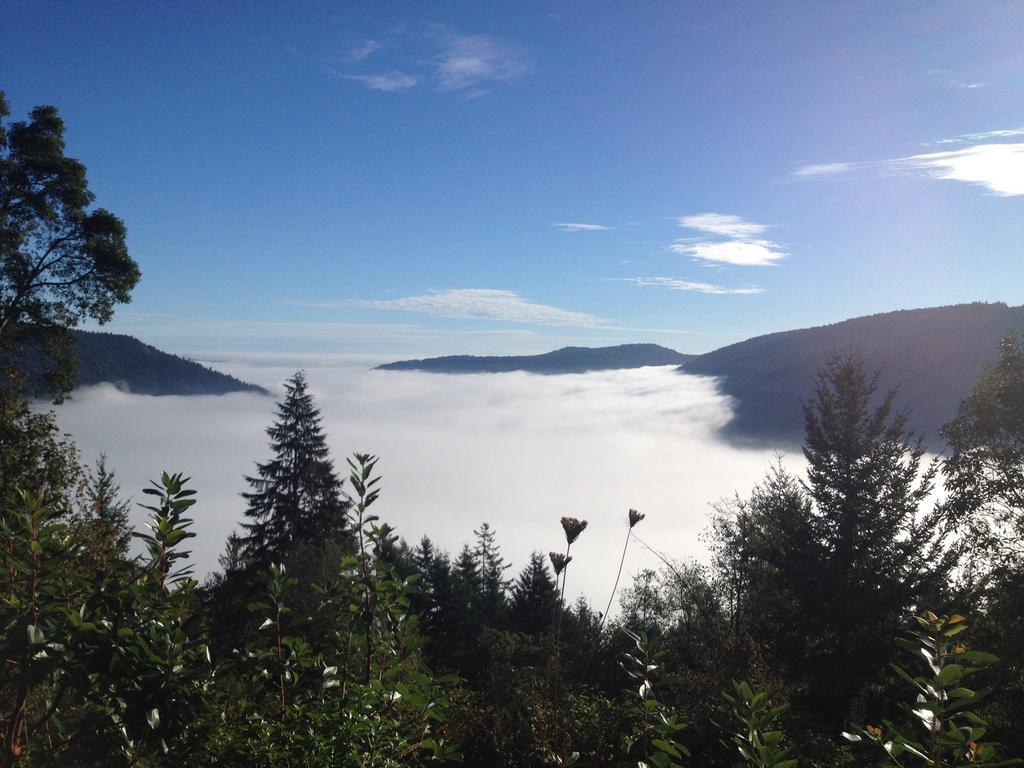 Moon Water Lodge Malahat Szoba fotó